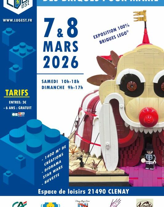 Des briques pour Marie